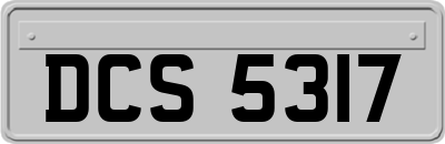 DCS5317