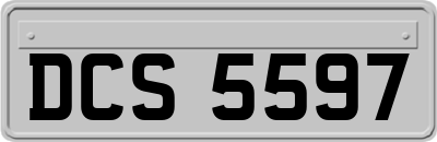 DCS5597