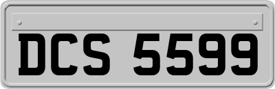 DCS5599