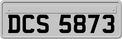 DCS5873