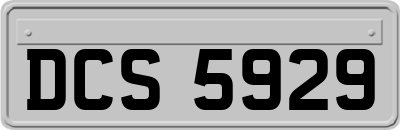 DCS5929