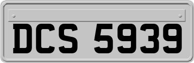 DCS5939
