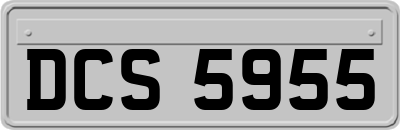 DCS5955