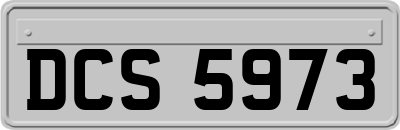 DCS5973