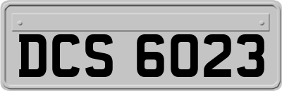 DCS6023