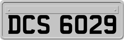 DCS6029