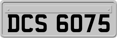 DCS6075