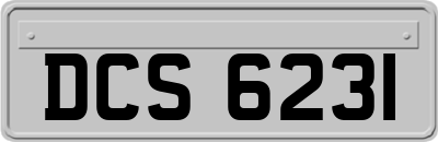 DCS6231