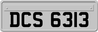 DCS6313