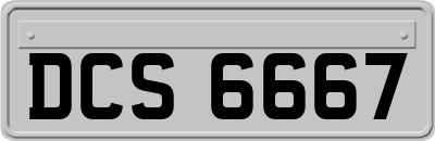 DCS6667