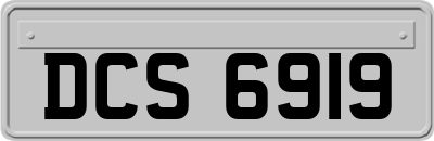 DCS6919