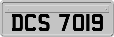 DCS7019