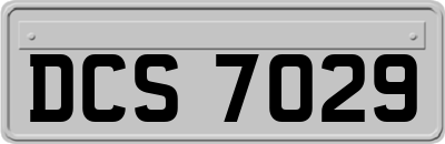 DCS7029