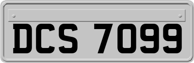 DCS7099