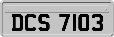 DCS7103