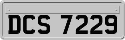 DCS7229
