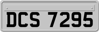 DCS7295