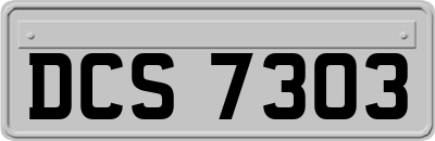 DCS7303