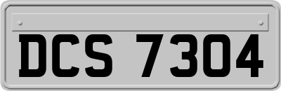 DCS7304