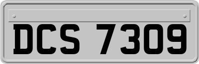 DCS7309