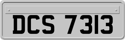 DCS7313