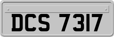DCS7317