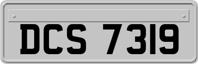 DCS7319