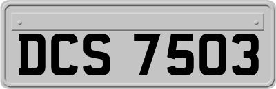 DCS7503