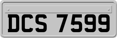 DCS7599