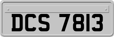 DCS7813