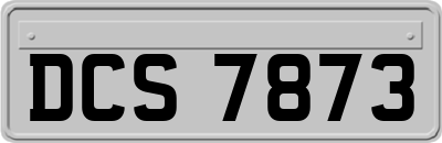 DCS7873