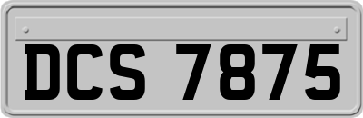 DCS7875