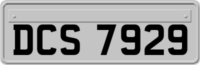 DCS7929