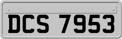 DCS7953