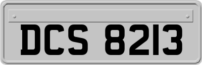 DCS8213