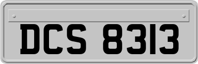 DCS8313
