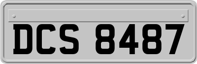 DCS8487