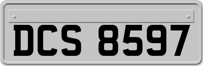 DCS8597
