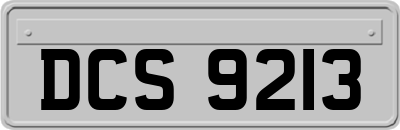 DCS9213