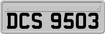 DCS9503