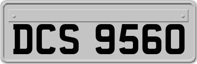 DCS9560