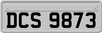 DCS9873