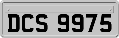 DCS9975