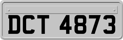 DCT4873