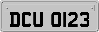 DCU0123