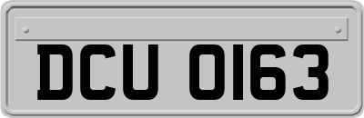 DCU0163