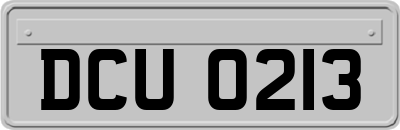 DCU0213