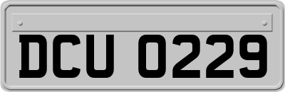 DCU0229