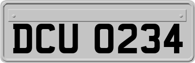 DCU0234