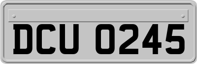 DCU0245